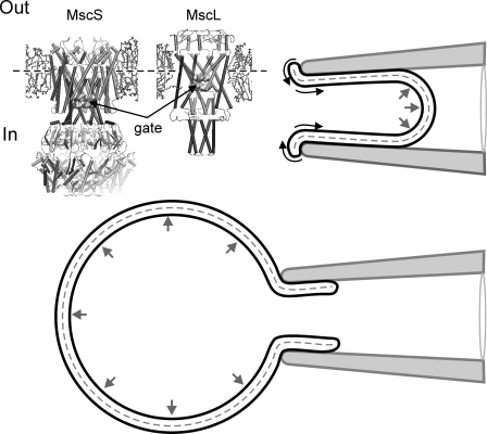 Figure 7.