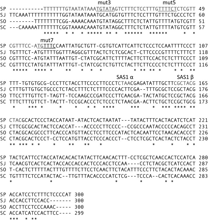 Figure 4 