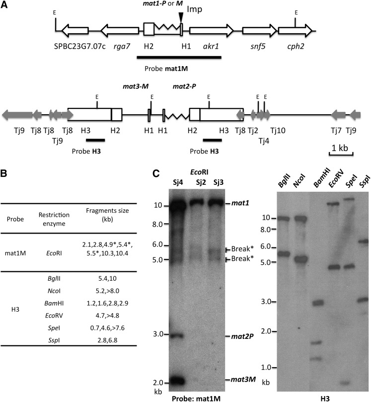 Figure 3 