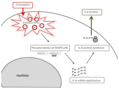 graphic file with name nihms-728983-f0001.jpg