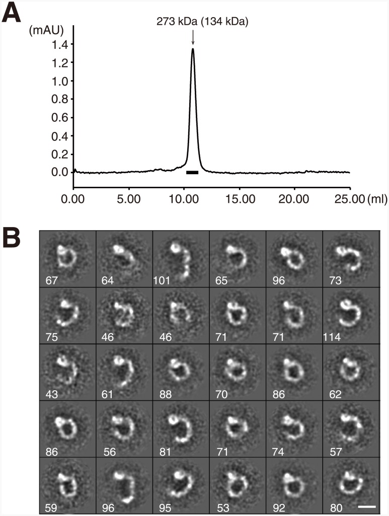 Fig 5