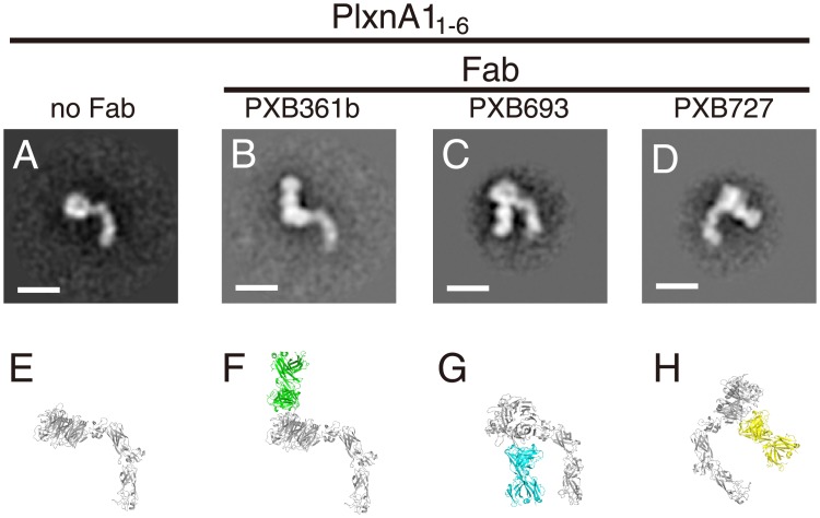 Fig 4