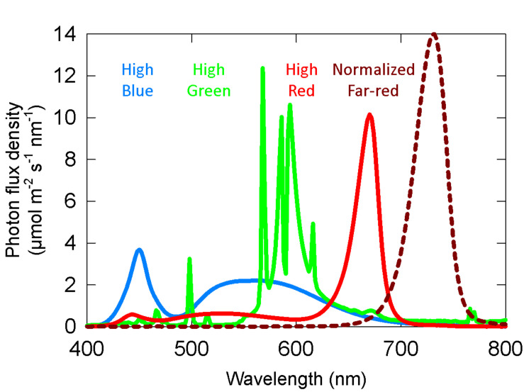 FIGURE 2