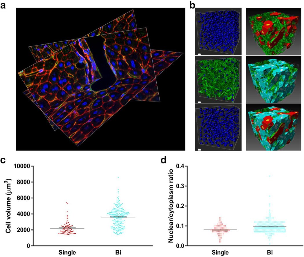 Figure 6: