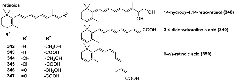 Figure 24