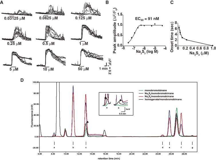 Figure 10. 