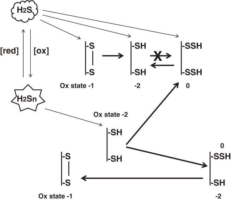 Figure 13. 