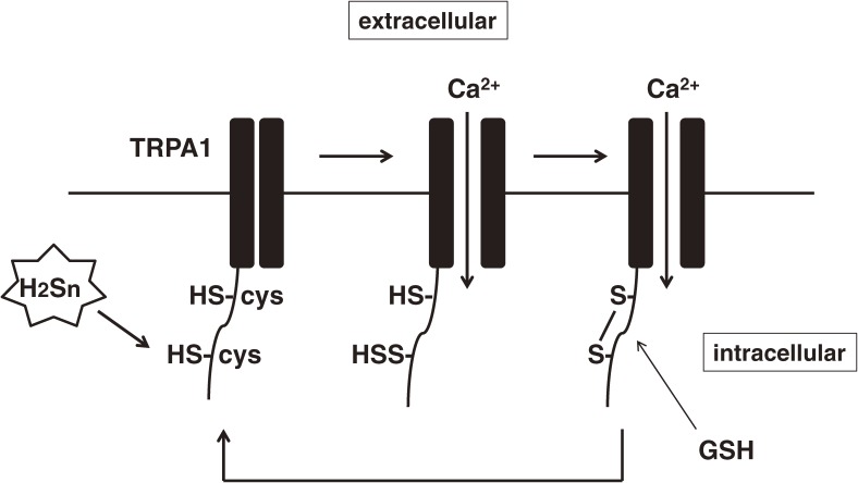 Figure 11. 