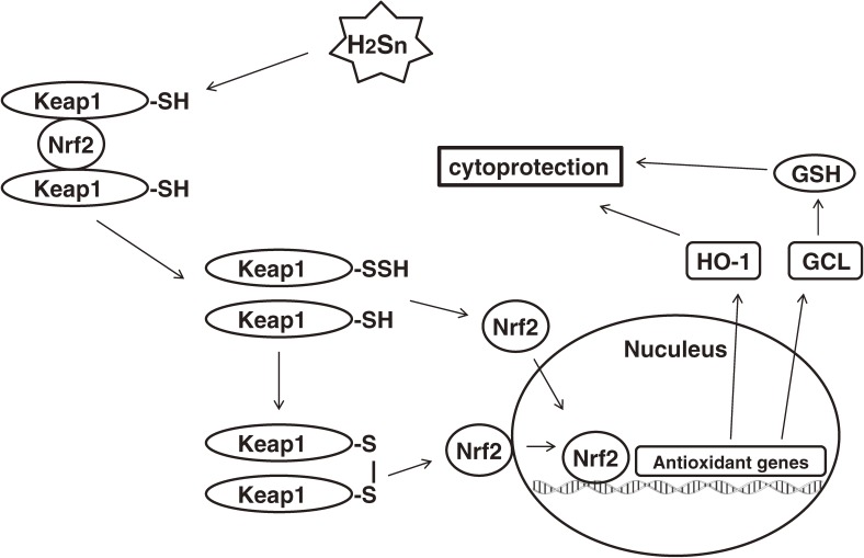 Figure 14. 