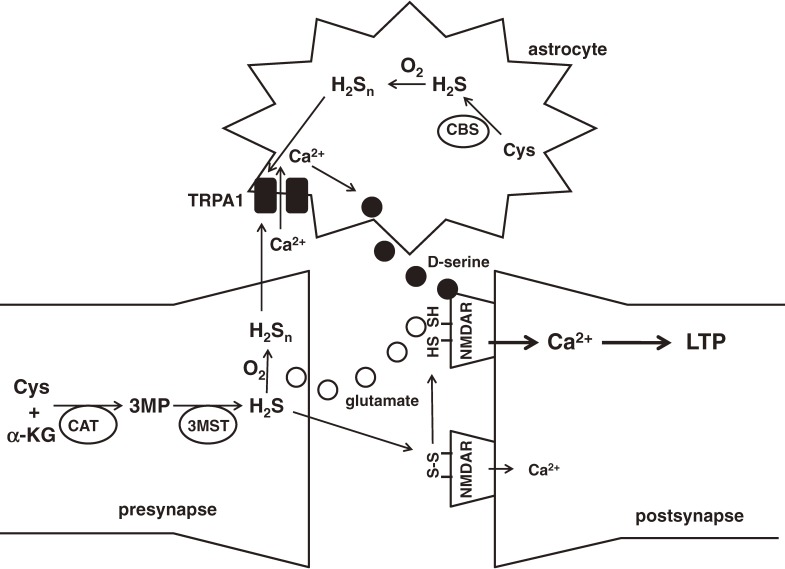 Figure 12. 