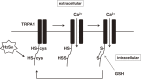 Figure 11.