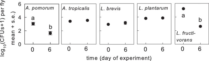 FIG 1 