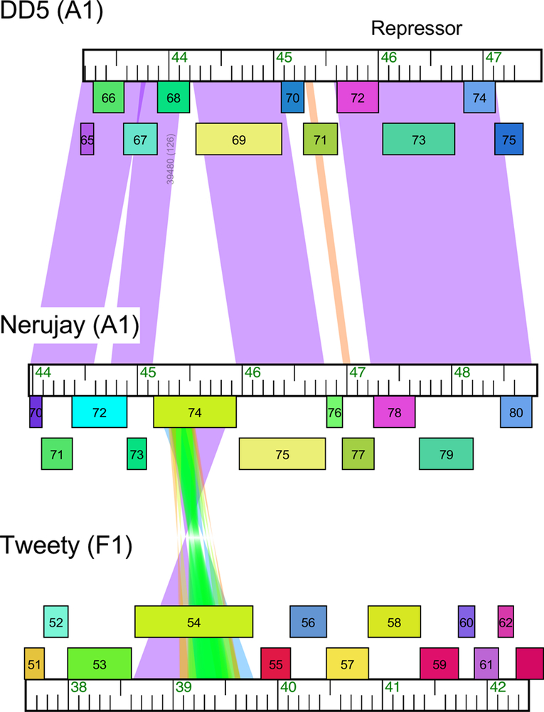 Figure 13.