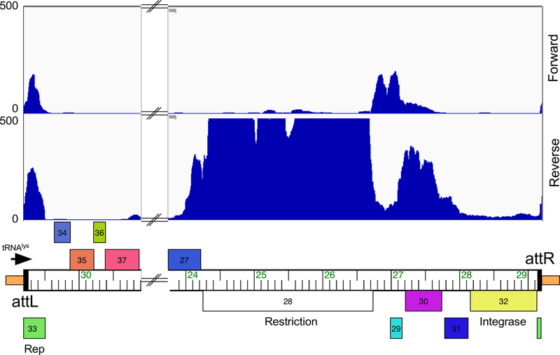 Figure 6.