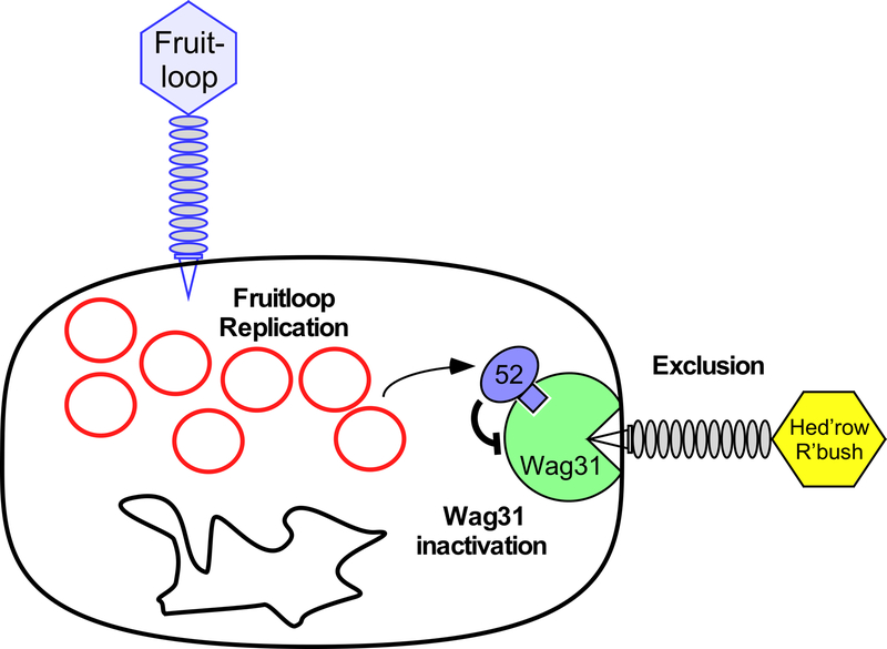 Figure 14.