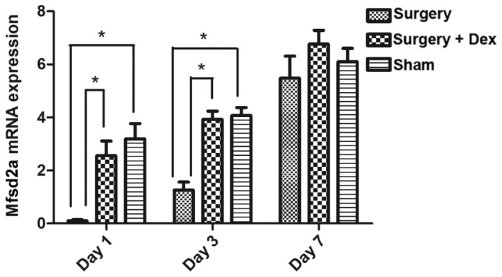 Figure 5.