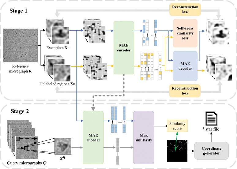 Figure 2: