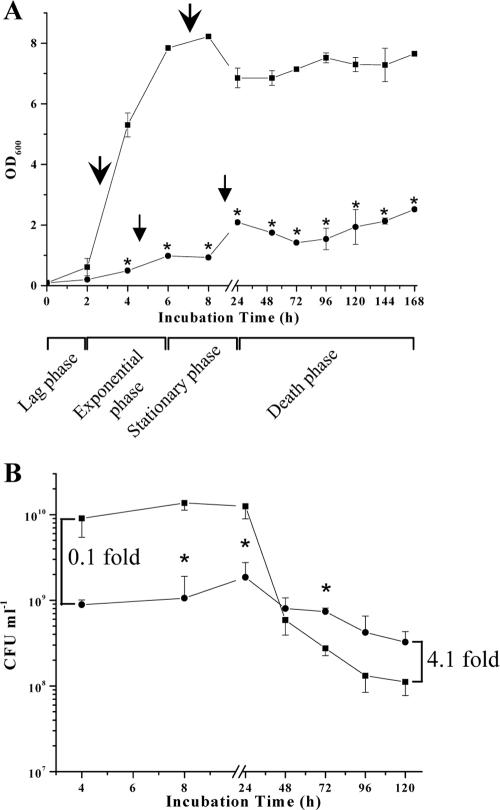 FIG. 1.