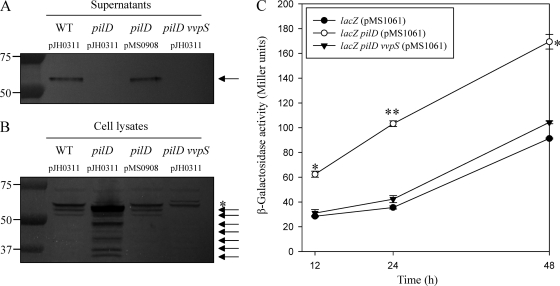 Fig. 7.