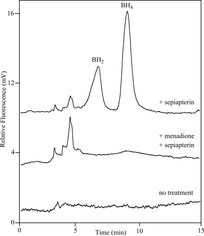 FIGURE 10.