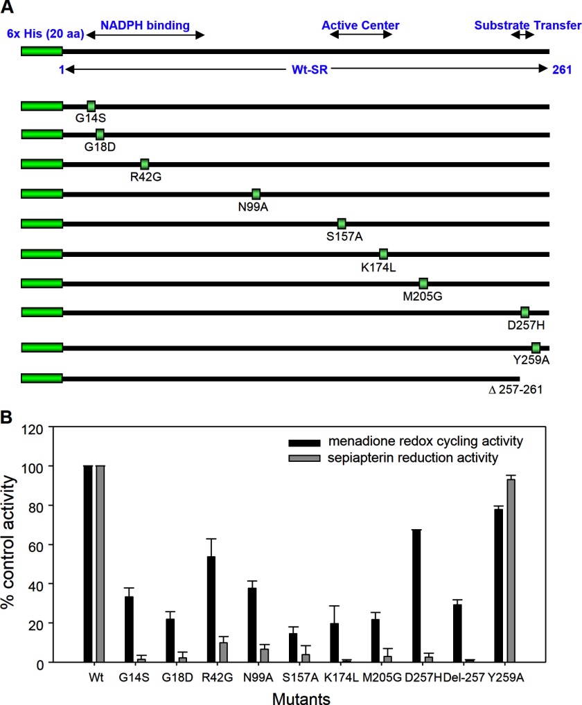 FIGURE 11.