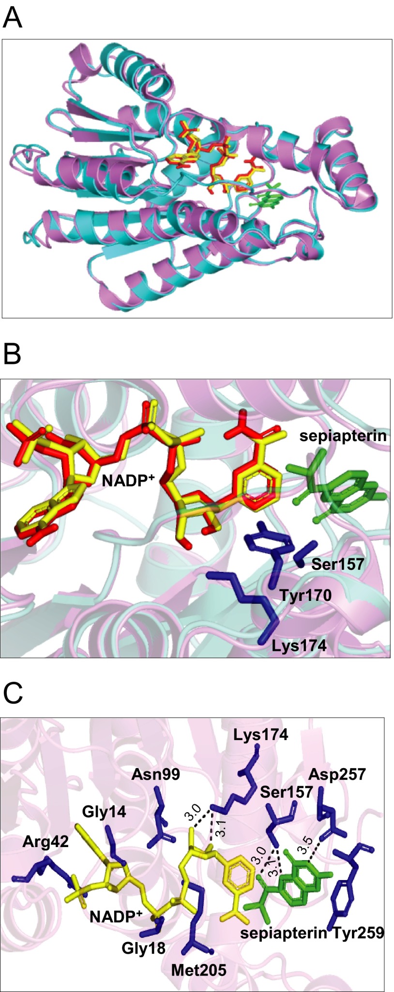 FIGURE 12.