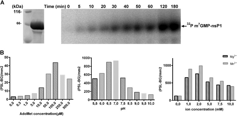 FIG 2