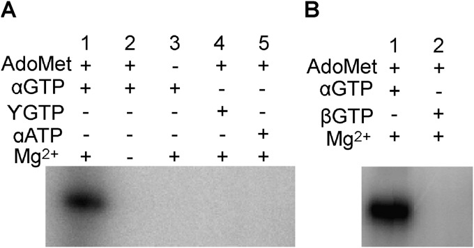 FIG 3