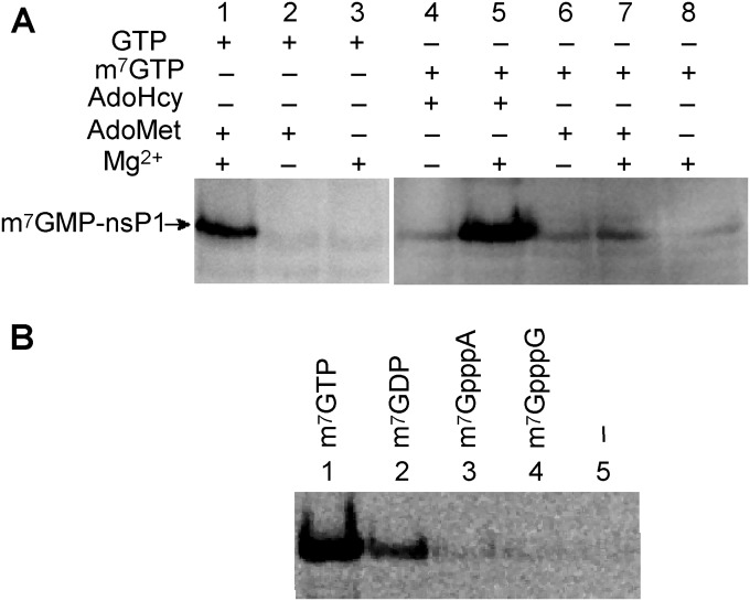 FIG 6