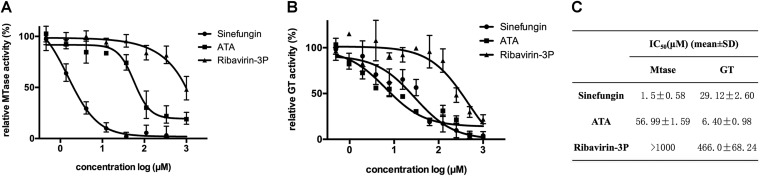 FIG 10