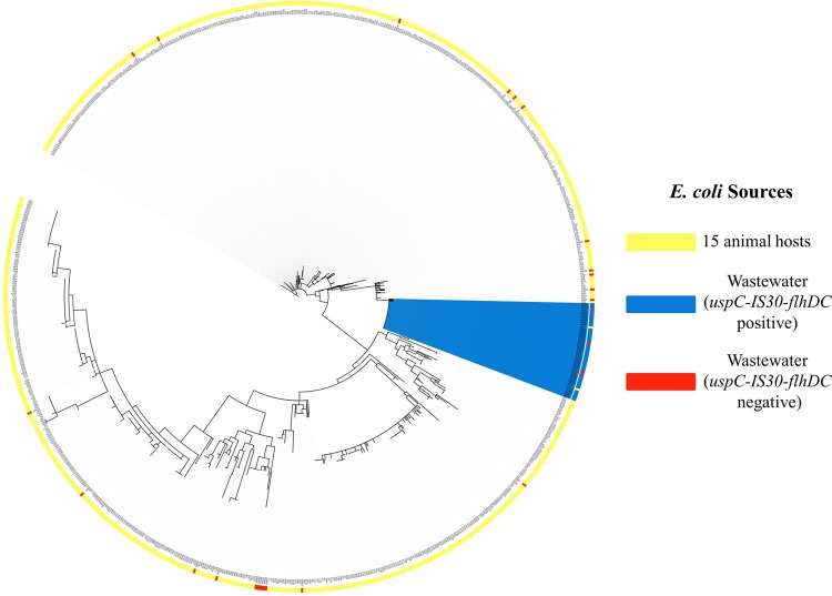 FIG 1