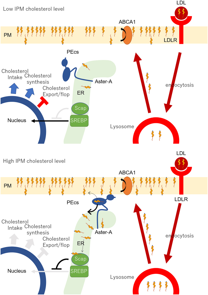 Figure 7