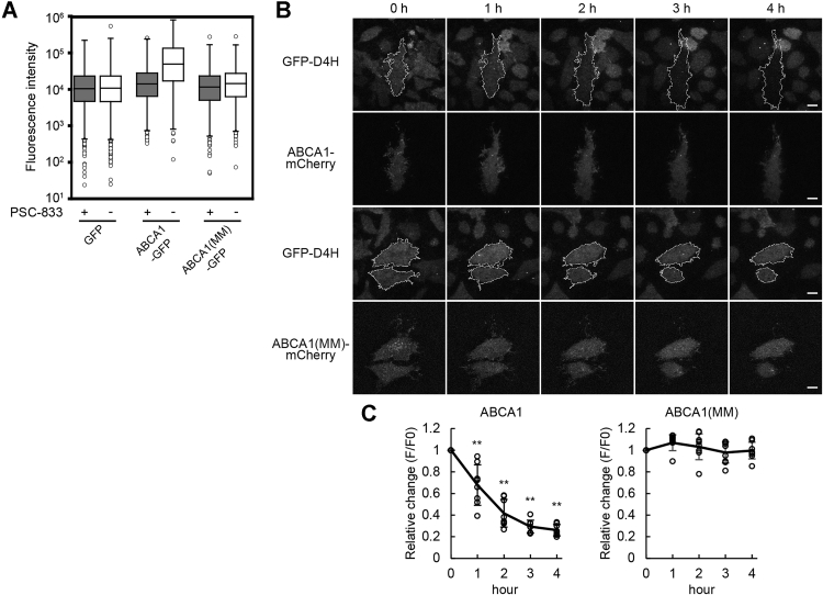 Figure 3