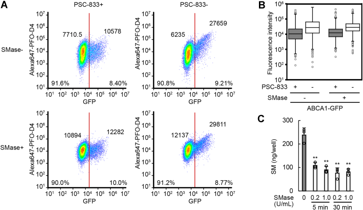 Figure 4