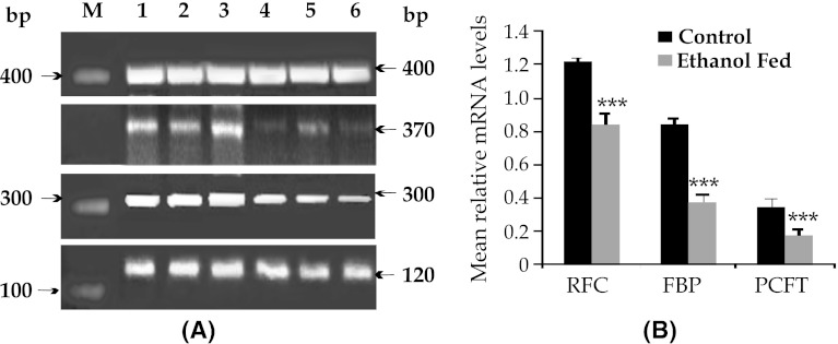 Fig. 5