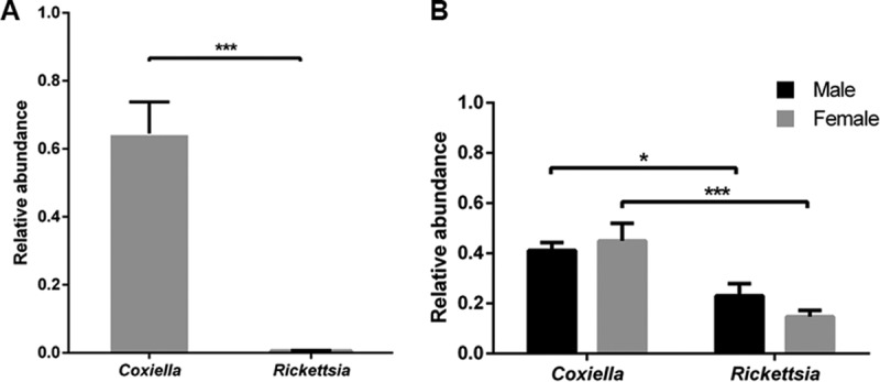 FIG 3