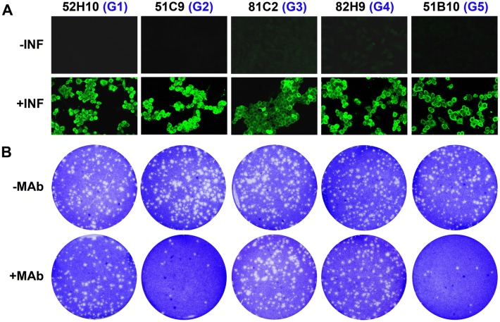 Figure 2