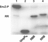FIG. 7.