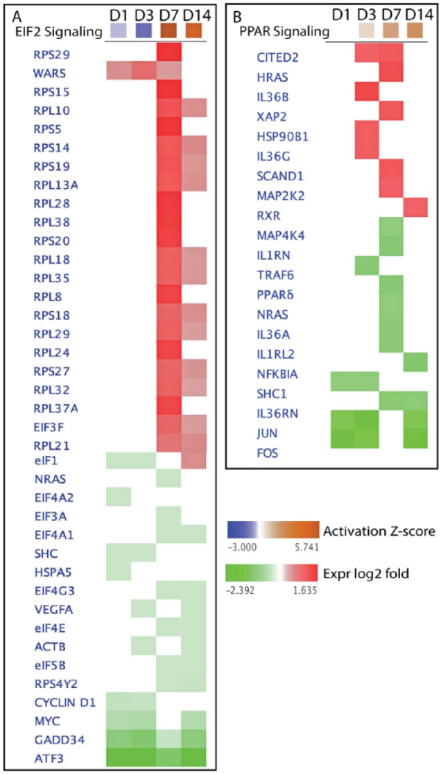 Figure 5.