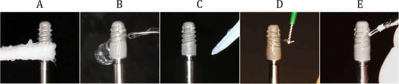 Fig. 3