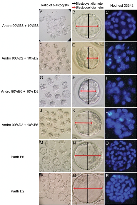 Figure 5