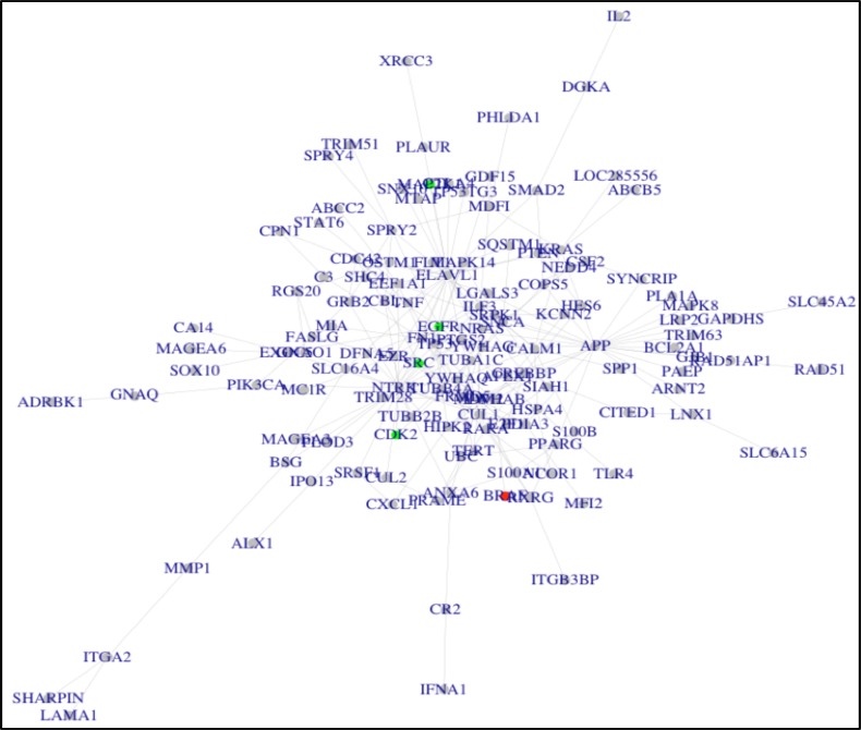 Figure 4: