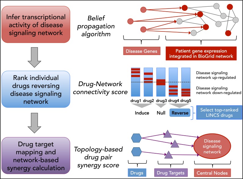 Figure 1: