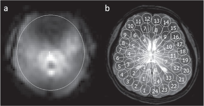 Fig 1.