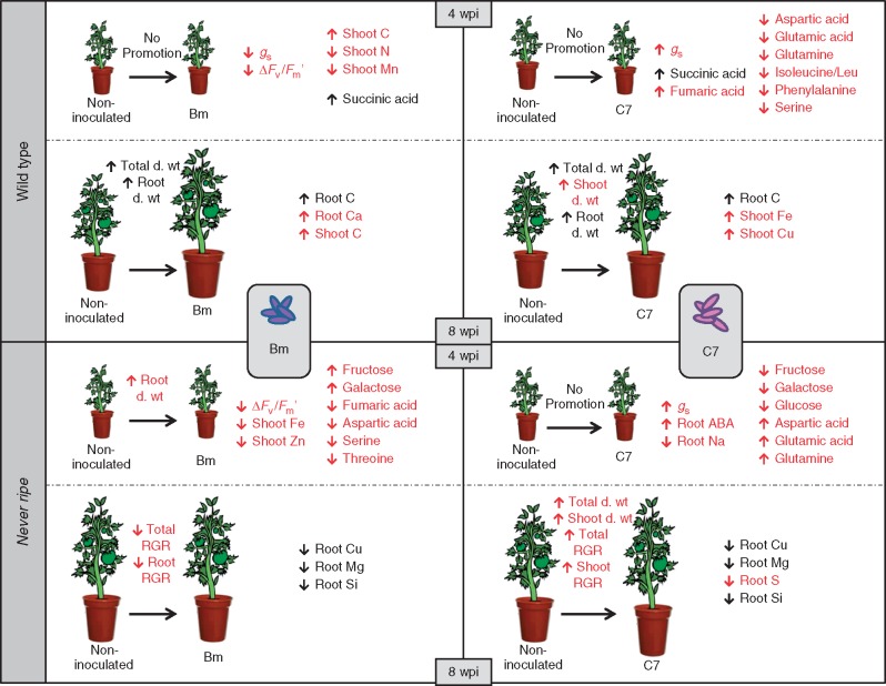 Fig. 6.