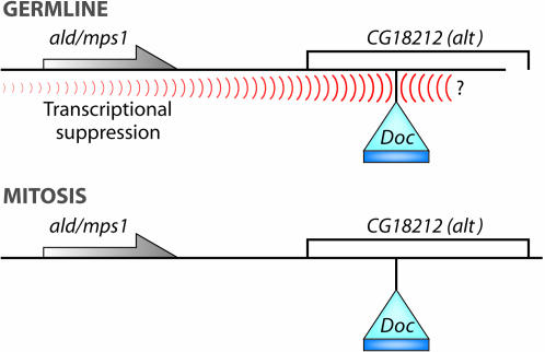 Figure 2.—