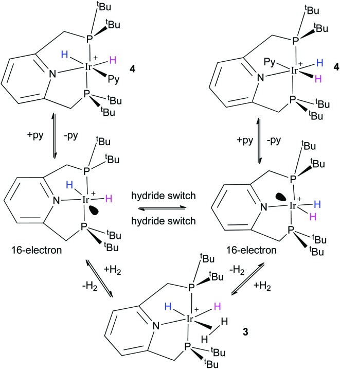 Scheme 2