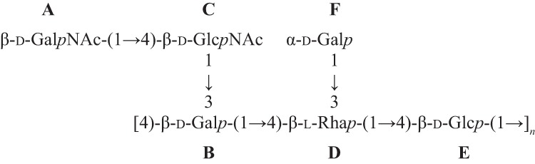 SCHEME 2.