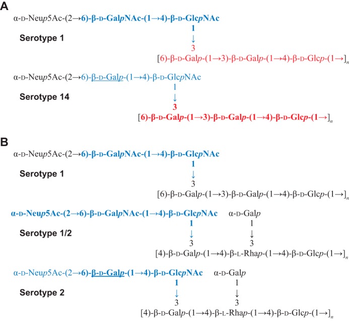 FIGURE 9.