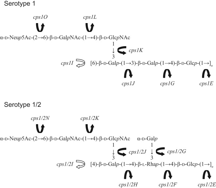 FIGURE 10.